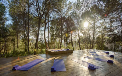 Spa institute in Kochi